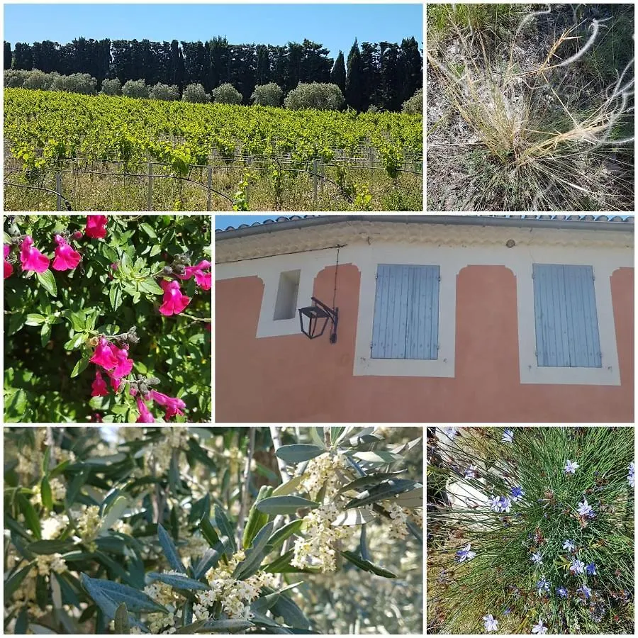 La Cabane du Pesquier en Provence Caumont-sur-Durance